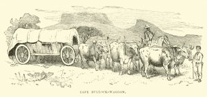 Cape Bullock vagonu