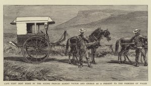 Cape Cart, Genç Prensler Albert Victor ve George tarafından Galler Prensesi