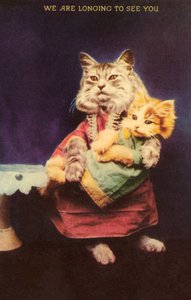 Kedi ve yavru kedi (renkli taş) by English School