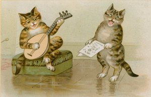 Müzik yapan kediler by English School