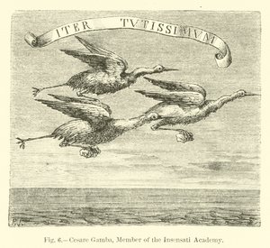 Cesare Gamba, Insensati Akademisi Üyesi by English School