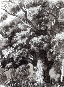 Charles II (1630-85) Meşe Ağacında Gizli, 14 Ekim 1651 by English School