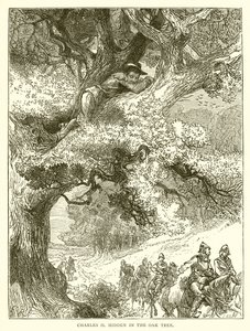 Meşe Ağacında Gizli Charles II by English School