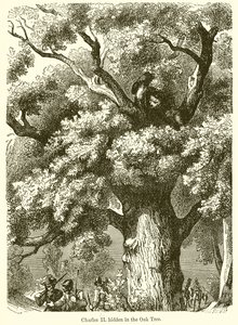 Charles II. meşe ağacına gizlenmiş by English School
