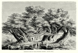 Yüz Atın Kestane Ağacı: Etna Dağı (gravür) by English School