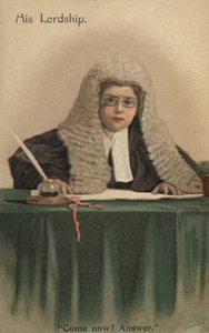 Yargıç gibi giyinmiş çocuk (renkli taş) by English School