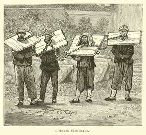 Çinli Suçlular by English School