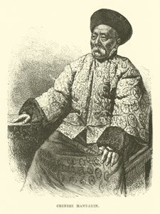 Çin mandalinası by English School