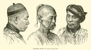 Çin yüz tipleri, Swatow by English School