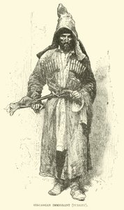 Çerkes göçmen, Türkiye by English School