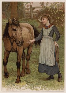 Zeki Dobbin (chromolitho) by English School