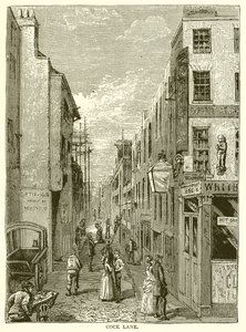 horoz şeridi by English School