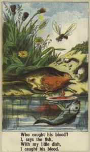 horoz robin by English School