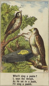 horoz robin by English School