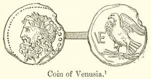 Venüs madeni parası by English School
