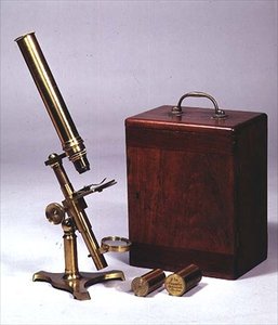 Bileşik monoküler mikroskop, Amadio Optician tarafından yapılmıştır, Londra, c.1860 (pirinç ve gomalak)