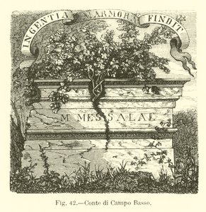 Campo Basso Kontu by English School