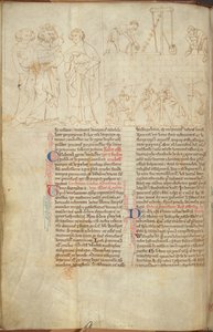Cotton Nero D. I f.23v 