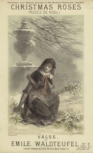 Noel Güllerinin Kapağı