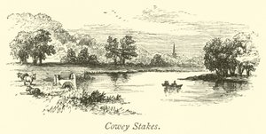 Cowey Bahisleri by English School