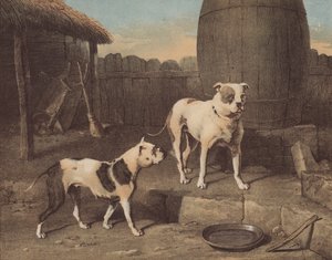 Beşik ve Rosa (kromolitho) by English School