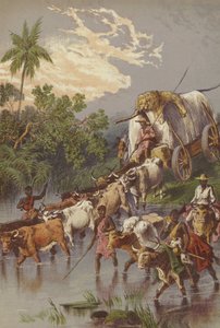 Güney Afrika
