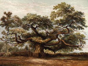 Crouch Meşe, Addlestone by English School