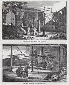 İpek ekimi (gravür) by English School