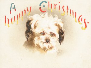 Sevimli köpek! Yılbaşı kartı by English School