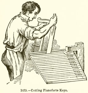 Piyano Tuşlarını Kesmek by English School