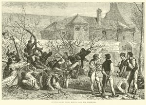 Yakacak odun için Paris çevresindeki ağaçların kesilmesi, Ekim 1870 by English School