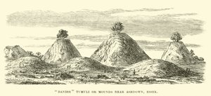 Ashdown, Essex yakınlarındaki Danimarka Tümülüsleri veya Höyükleri by English School