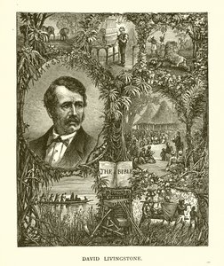 David Livingstone by English School