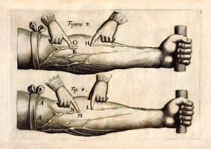 De Motu Cordi, William Harvey (1578-1657) tarafından ilk kez 1628