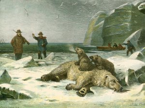 Dead polar bear and cubs by English School