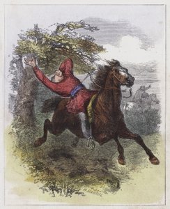 William Rufus