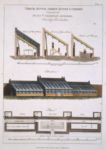 Peach House, Green House ve Pinery için Tasarım, 1806 by English School