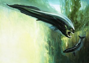 Dinichthys by English School