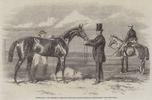 Diophantus, Newmarket