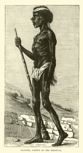 Djangal, Sirgouja