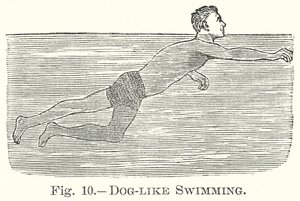 Köpek Gibi Yüzmek (gravür) by English School