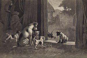 Köpek (kromolitho) by English School