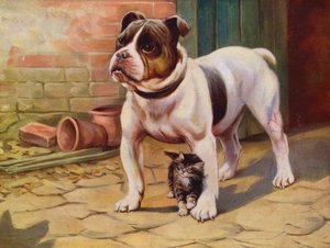 Köpek ve yavru kedi (renkli taş) by English School