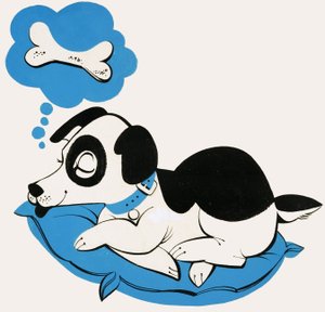 Rüyada kemik gören köpek by English School