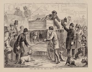 Köpekler ve Köpek Vergisi, Yaşamdan Bir Eskiz (gravür) by English School