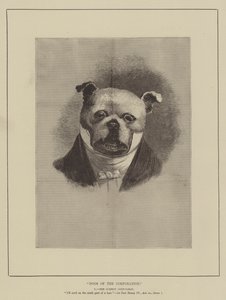 Şirketin Köpekleri (gravür) by English School