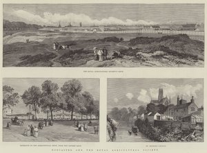 Doncaster ve Kraliyet Tarım Derneği (gravür) by English School