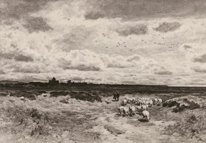 Dornoch, G Reid