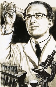 Çocuk felci aşısının yaratıcısı Dr Jonas Salk bir test tüpüne bakıyor by English School