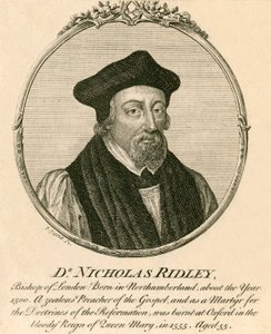 Doktor Nicholas Ridley by English School